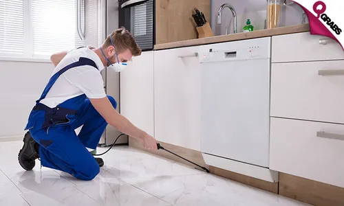 Pest Control: Cockroach & Bedbug Treatment Services!